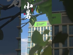 진공 합금 오븐의 중국 공급 업체